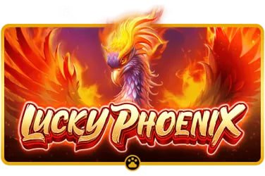 betongame online card games poker teen patti Myanmar ကစားသမား MMK